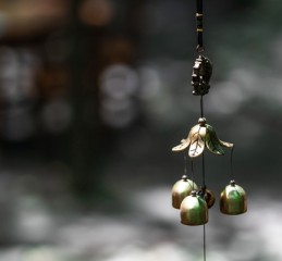 八字推荐排盘 八字排盘卜易居？