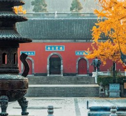 八字免费精批 八字精批免费系统？