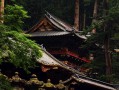 那个八字排盘 那个八字排盘最好用？