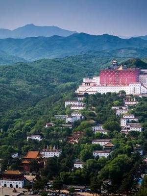 现在八字排盘 现在八字排盘必须加出生地吗？