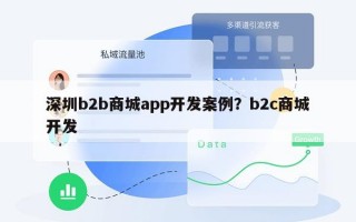 深圳b2b商城app开发案例？b2c商城开发