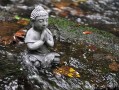 紫微斗数在线测算运势 紫微斗数免费测算？
