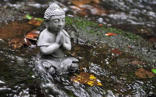 壬寅旺夫 壬寅年旺什么？