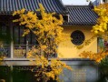 伤官生财十年大运 伤官生财多少年发财？