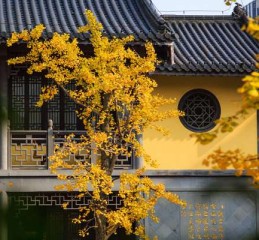 易之缘八字排盘 易之缘免费姓名测试？