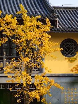 八字排盘原件下载 八字排盘软件下载安装？