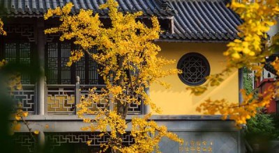 元亨利贞八字排盘 元亨利贞八字排盘免费版？