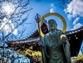 紫微斗数府相朝垣格女命 府相朝垣格从事什么方面？