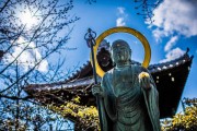 倪海夏紫微斗数排盘 紫微斗数倪海厦？