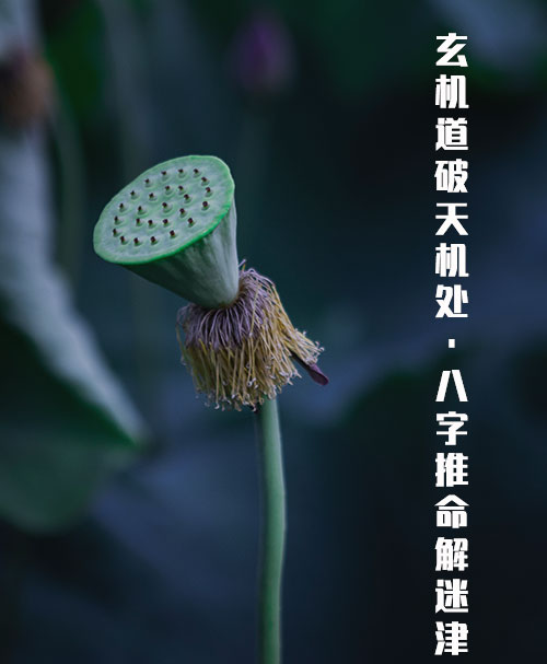华夏算命网免费在线算命
